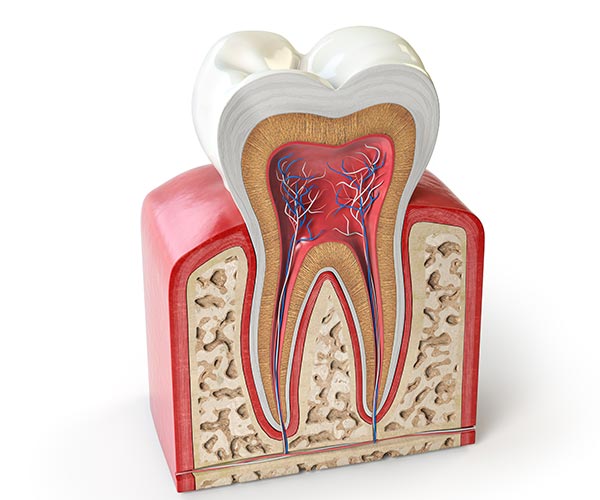 Root-Canal-Treatment-in-The-Smile-Place