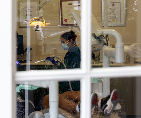 Dentist carrying out a routine dental examination